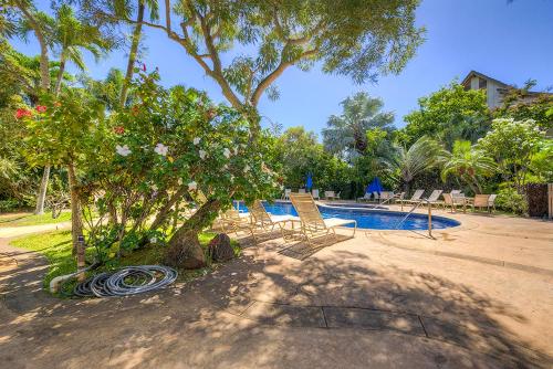 dsc06168_69_70_71_72